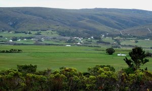Baardskeerdersbos Huiseienaarsvereniging